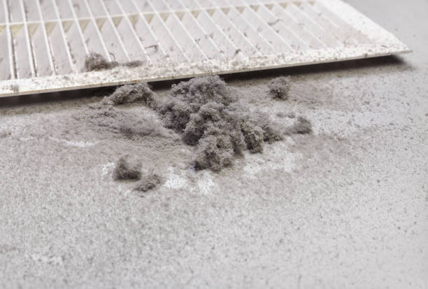 Best Emergency Air Duct Cleaning  in Westchase, FL