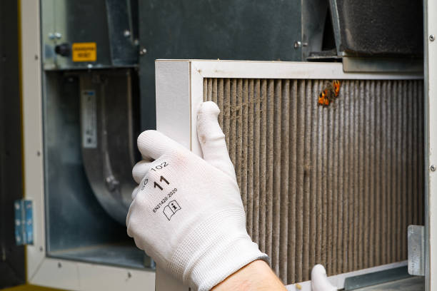 Best HVAC Duct Inspection Services  in Westchase, FL
