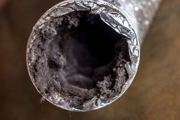 Best Ductwork Cleaning Services  in Westchase, FL