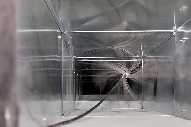 Best Air Duct Sanitizing Services  in Westchase, FL