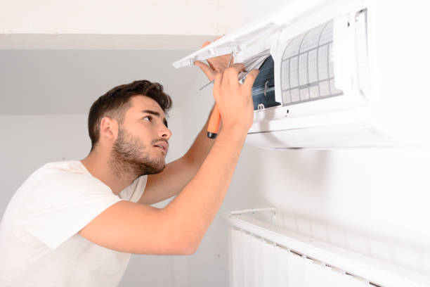 Best Home Air Vent Cleaning  in Westchase, FL